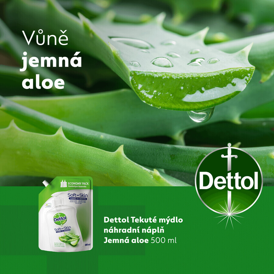 Ricarica Dettol Sapone Liquido Aloe Vera e Vitamina E 500 ml