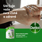 Ricarica Dettol Sapone Liquido Aloe Vera e Vitamina E 500 ml