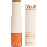 Attitude Oceanly Stiff Concealer - Caramel 5.7 g