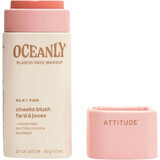 Attitude Oceanly Blush Crème Solide - Rose Soyeux 8.5 g