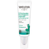 Weleda Opuntia Gel hydratant pour les yeux 10 ml