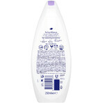 Dove Antistress Shower Gel 250 ml