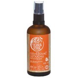 Terre Verte Bio Désodorisant Orange 100 ml