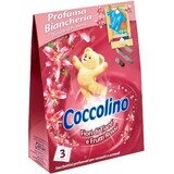 Sachets parfumés Pink Coccolino 3 pcs