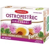 Terezia Thistle + reishi forte 600 mg 60 gélules