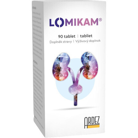 Lomicam 90 comprimés