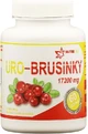 Nutricius