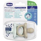 Schnuller Chicco Physio luxe grün/grau 6-16m 2 Stück