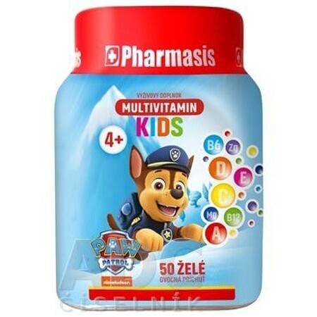 Pharmasis Multivitamin Kids Paw Patrol Paw Patrol - blue 50 pcs