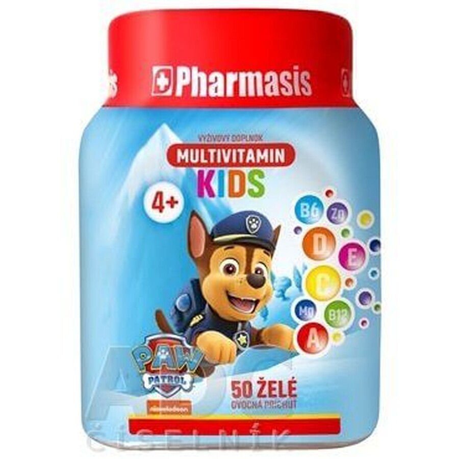 Pharmasis Multivitamin Kids Paw Patrol Paw Patrol - blue 50 pcs