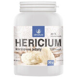 Allnature Hericium Coral Hedgehog 100 gélules