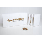 Feminus 60 comprimate