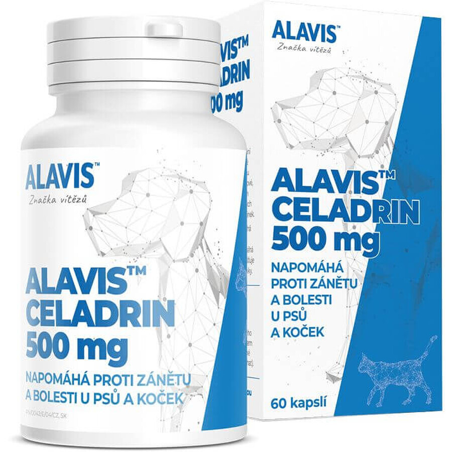 Alavis CELADRIN voor honden en katten 60 capsules