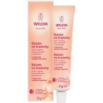 Weleda Bálsamo para Pezones 25 g