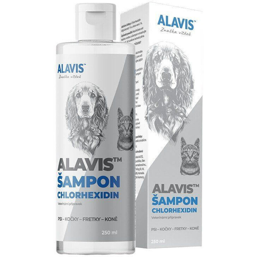 Alavis Shampooing avec chlorhexidine 250 ml