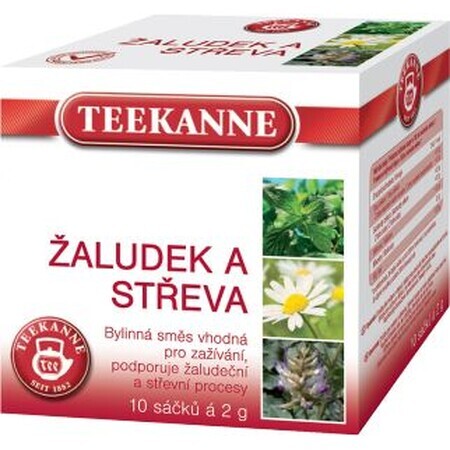 Teekanne Stomach and Intestines Herbal Blend 20 x 2 g