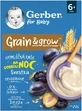 Gerber plum porridge d'avoine sans lait avec blé et avoine 200 g