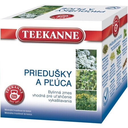 Teekanne Tisane pour les bronches et les poumons 10 x 2 g