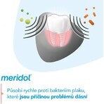 Toothpaste Meridol Gum Protection & Gentle White 3 x 75 ml