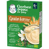 Gerber Organic dairy-free porridge with vanilla flavor 200 g