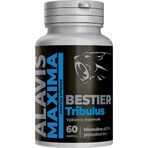 Alavis Maxima Bestier Tribulus 60 capsules