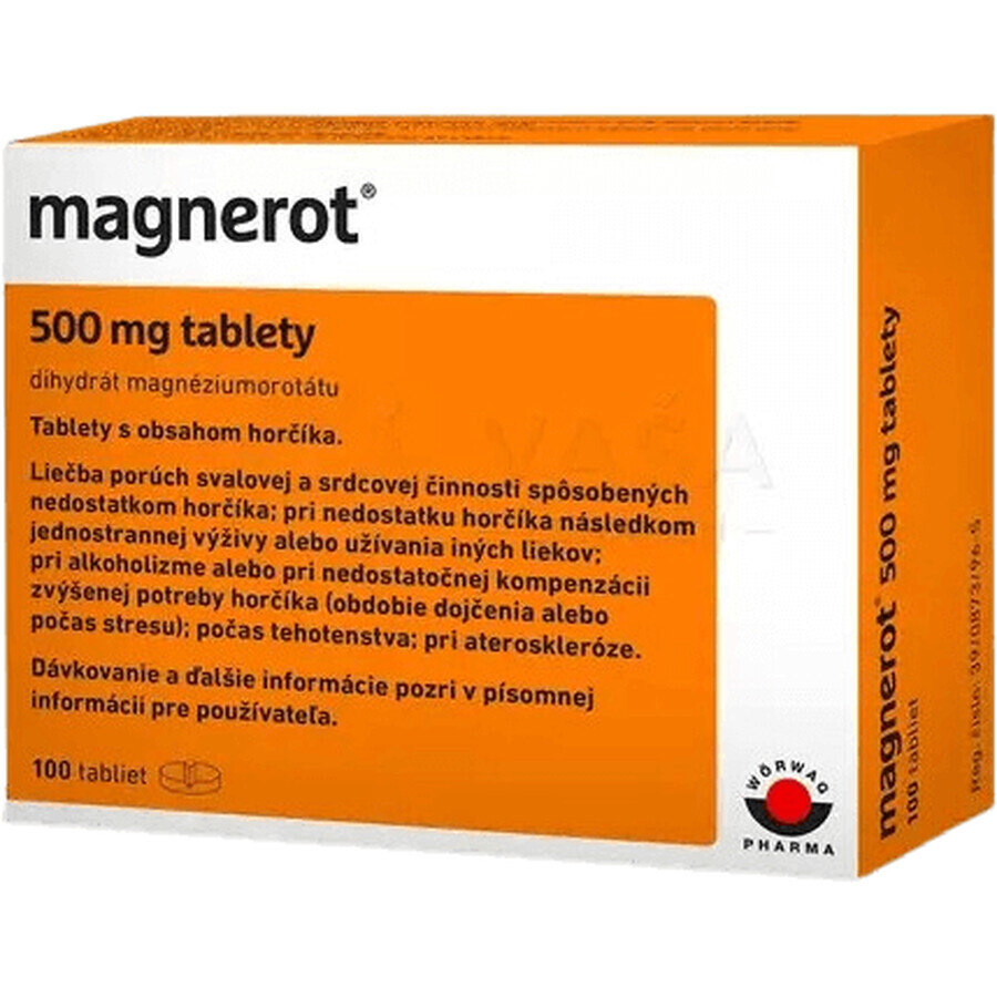 Magnerot 100 comprimés