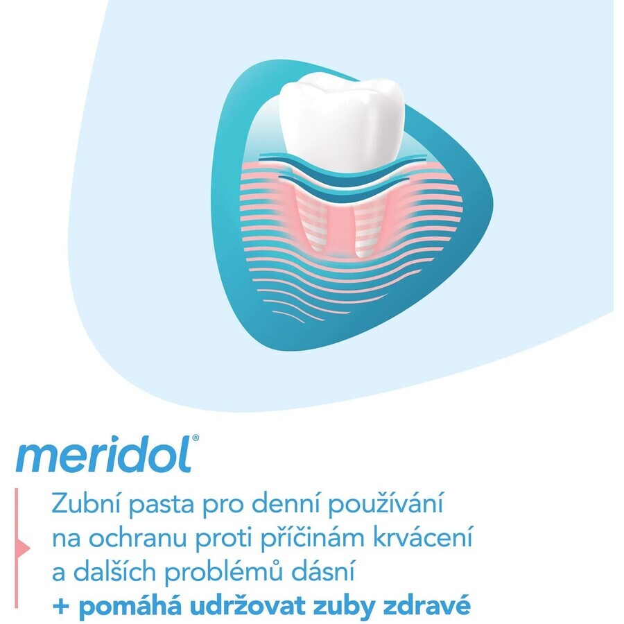 Meridol Gum Protection Gum Protection Toothpaste 3 x 75 ml