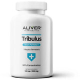 Aliver Nutraceutics Extrait de Tribulus Terrestris 90% 120 gélules