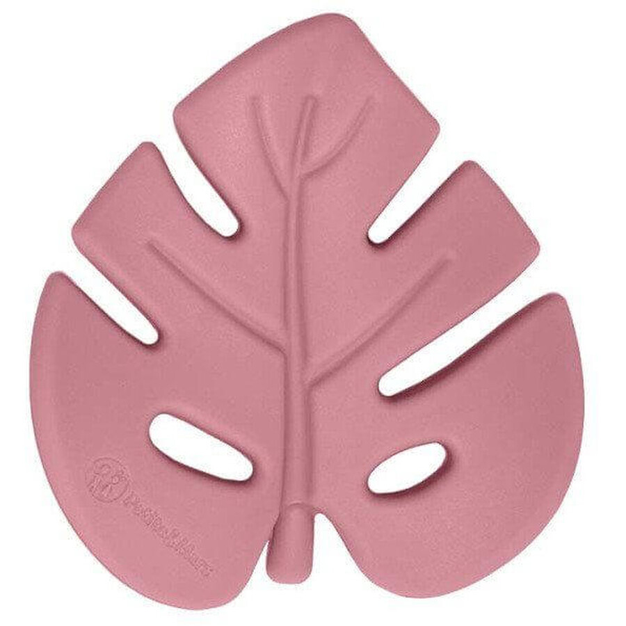 Petite&Mars Silicon Teether Dusty Pink 0m+