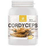 Allnature Cordyceps 100 gélules