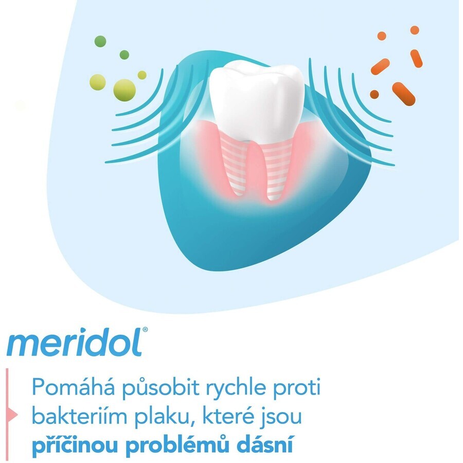 Meridol Gum Protection Gum Protection Toothpaste 2 x 75 ml