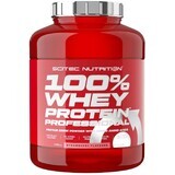 Scitec Nutrition 100% Whey Protein Professional Strawberry 2350 g