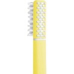 Brosse à dents en plumes avec échinacée + support, jaune doux