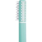 Brosse à dents en plumes avec échinacée + support, turquoise doux