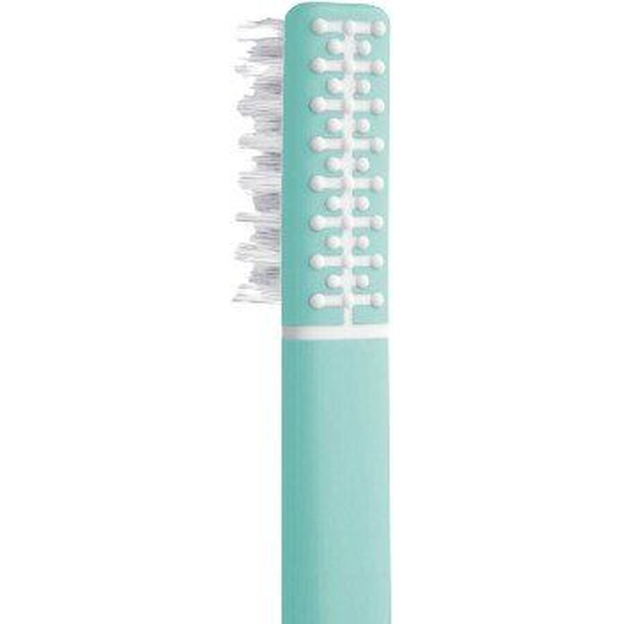 Brosse à dents en plumes avec échinacée + support, turquoise doux