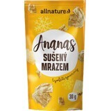 Allnature Piña deshidratada liofilizada trozos 30 g