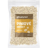 Allnature Pignons de pin 250 g