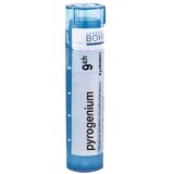 Boiron Pyrogenium CH9 granulo 4 g