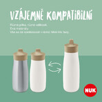 Nuk Plastik Mini-Me SIP grün Flasche 300 ml