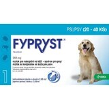 Fypryst Psy 20-40 kg Solution pour perfusion cutanée pour chiens 1 pc