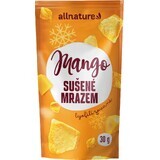 Allnature Mango freeze-dried 30 g