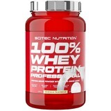 Scitec Nutrition 100% Whey Protein Professional, vanilla 920 g