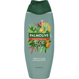 Palmolive Forest Edition Gel douche Aloe You 500 ml