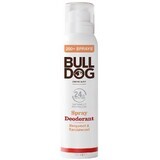 Bulldog Bergamotte & Sandelholz Deodorant Spray 125 ml