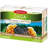 Terezia Chaga + reishi et argousier 60 gélules