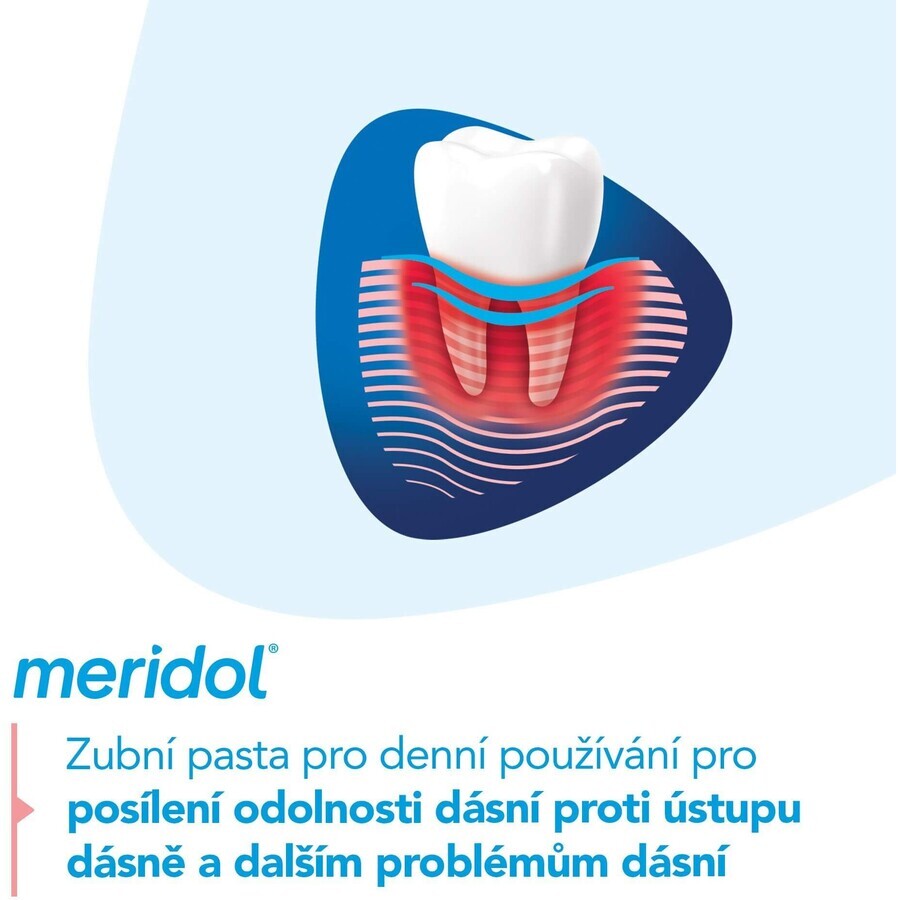 Meridol Parodont Expert Dentifrice 3 x 75 ml