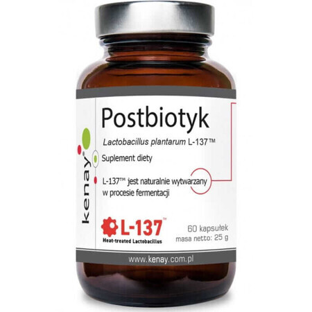 Postbiotic Lactobacillus plantarum L-137, 60 capsule Kenay