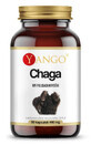 Extrait de Chaga 10% polysaccharide (90 g&#233;lules) YANGO