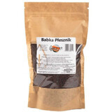 Graines de psyllium 250g Natur Planet