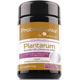 ProbioBalance, Lactobacillus plantarum LP01 10 bn. x 30 gélules végétales. Aliness